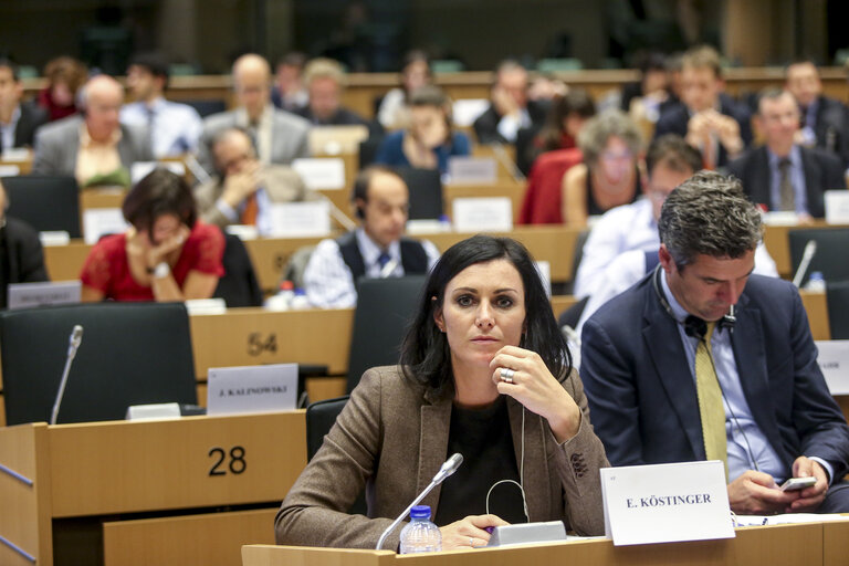 Suriet 9: AGRI Hearing  A new EU Forest Strategy: for forests and the forest-based sector