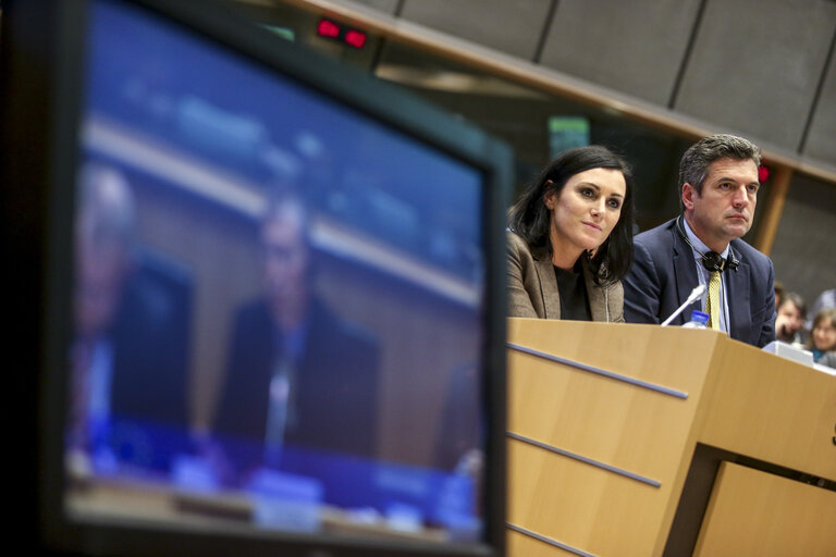 Fotografi 8: AGRI Hearing  A new EU Forest Strategy: for forests and the forest-based sector