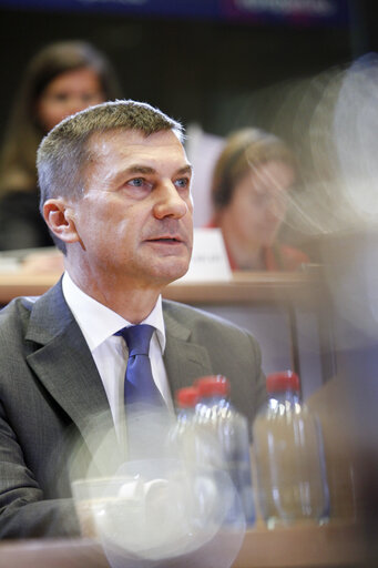 Foto 6: Hearing of Commissioner-designate for Digital Single Market - IMCO