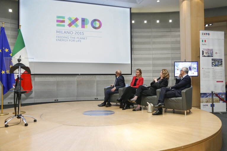 Fotografia 1: EXPO Milano 2015 meets the European Parliament