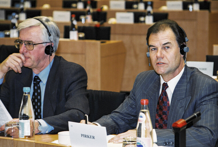 Foto 6: LIBE Committee Meeting on Drug Trafficking, Racism and Xenophobia