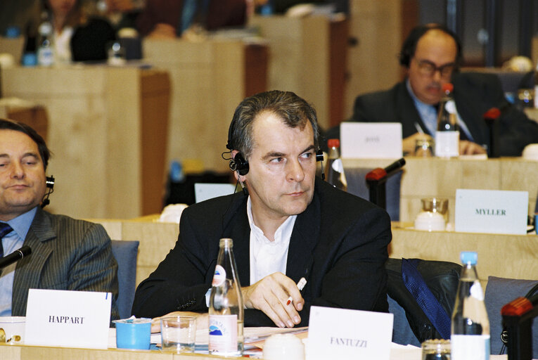 Zdjęcie 13: Meeting of the BSE Committee of Inquiry in Brussels