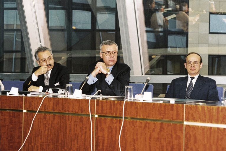 Fotografie 2: Meeting at the European Parliament in Brussels