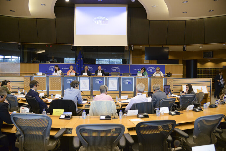 Fotografija 6: PETI Committee - Public hearing : ' Restoring citizens' confidence and trust in the European project '