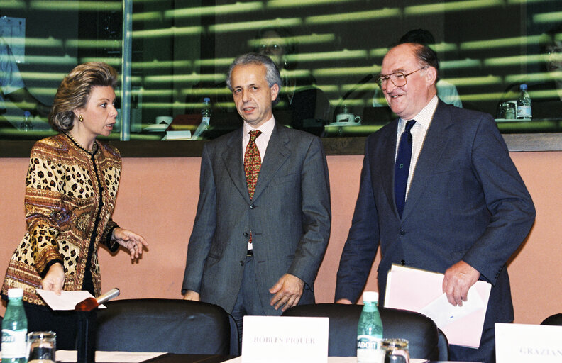 Photo 1 : Meeting at the European Parliament in Strasbourg