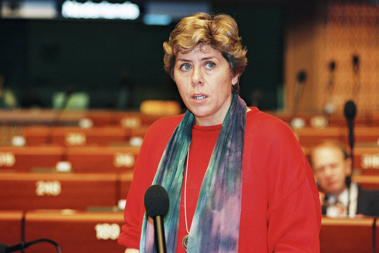 Foto 2: Plenary session in Strasbourg