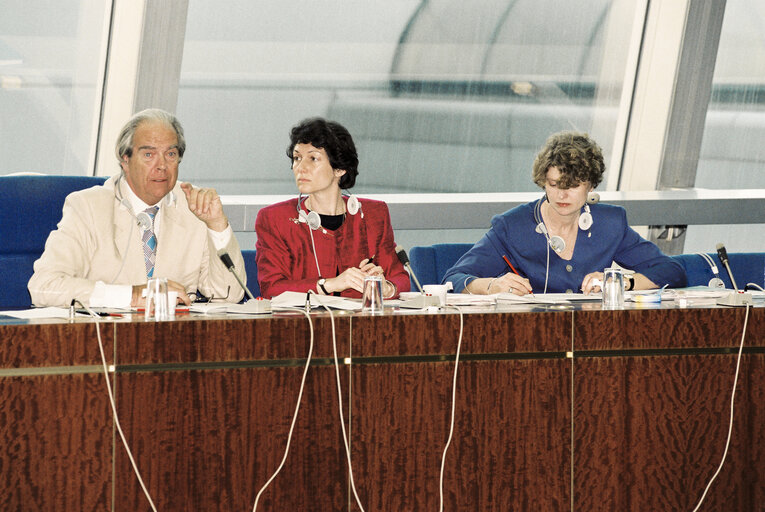 Nuotrauka 1: Meeting at the European Parliament in Strasbourg