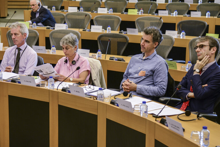 PETI Committee - Public hearing : ' Restoring citizens' confidence and trust in the European project '