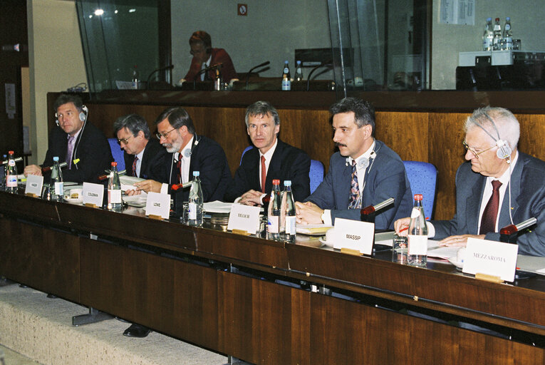 Foto 2: Committee on Budgets meeting - hearing of experts