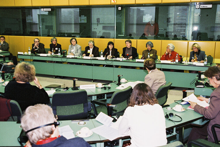 Foto 5: Committee on Women's Rights meeting at the European Parliament in Brussels