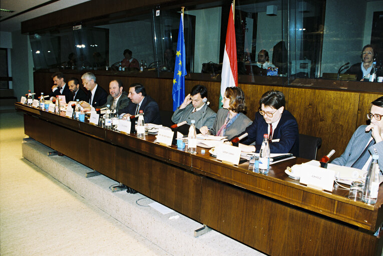 EU-Hungary Joint Parliamentary Committee