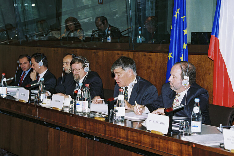 Φωτογραφία 3: EU-Czech Republic Joint Committee meeting