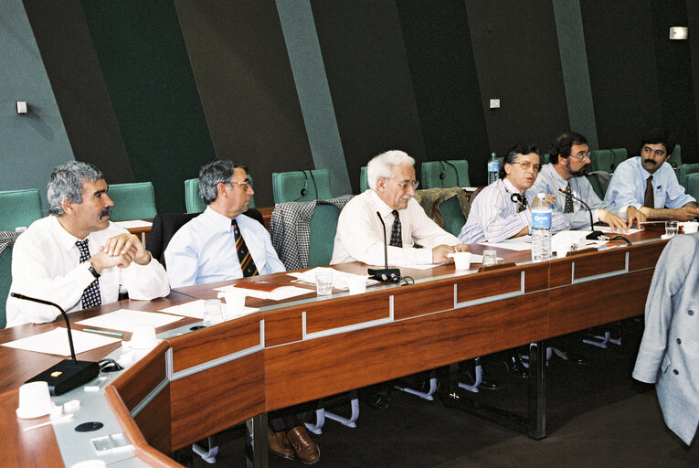 Foto 1: Meeting at the European Parliament in Strasbourg