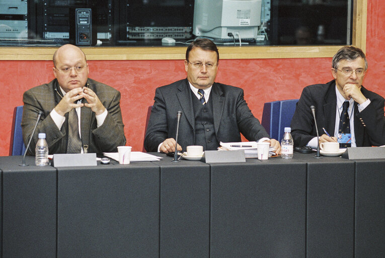 Fotografija 4: Meeting at the European Parliament