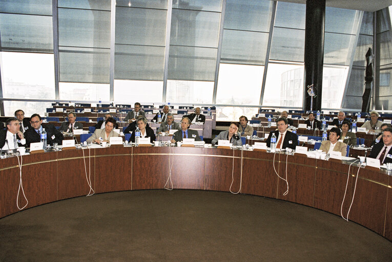 Nuotrauka 3: Meeting at the European Parliament in Strasbourg