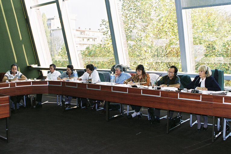 Photo 2 : Meeting at the European Parliament in Strasbourg