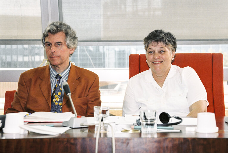 Photo 2 : Meeting at the European Parliament in Strasbourg