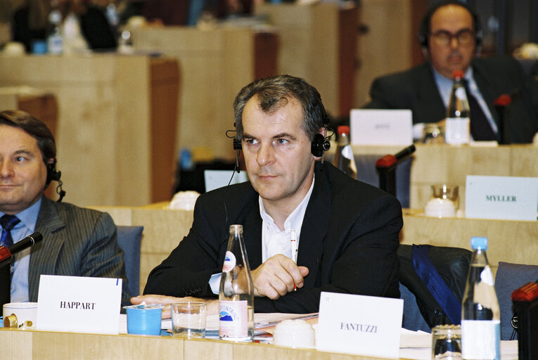 Zdjęcie 12: Meeting of the BSE Committee of Inquiry in Brussels