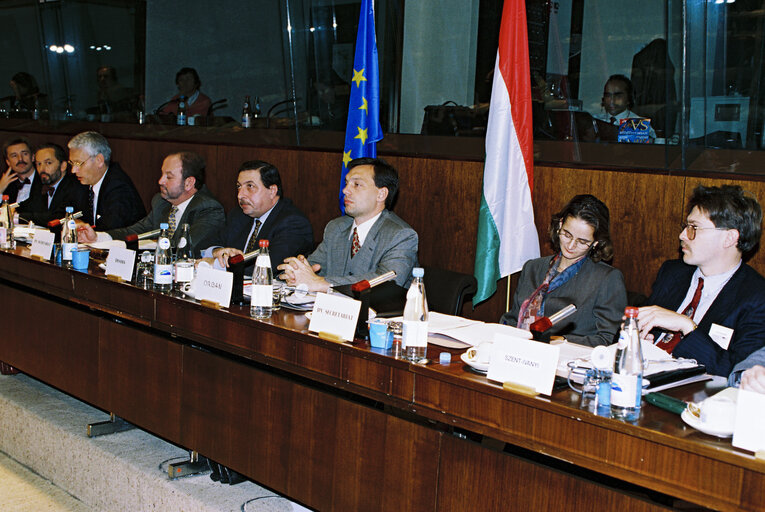 Foto 5: EU-Hungary Joint Parliamentary Committee