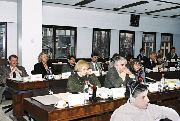 Photo 2: Meeting at the European Parliament in Brussels