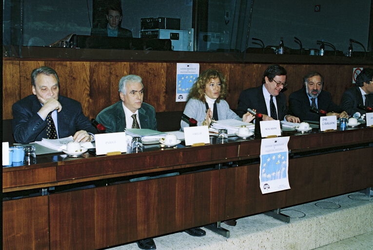 Fotogrāfija 18: Meeting with Italian MEPs - Community's Resources and Regional Policy