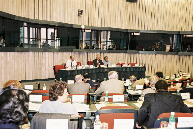 Photo 6 : Meeting at the European Parliament in Strasbourg