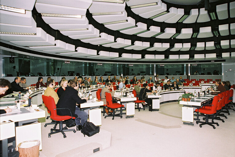 Meeting at the European Parliament