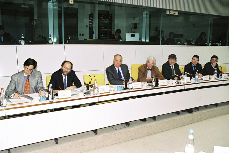 Fotografia 2: Committee on External Economic Relations Meeting