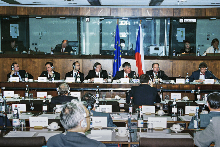 Fotografija 4: EU-Czech Republic Joint Committee meeting