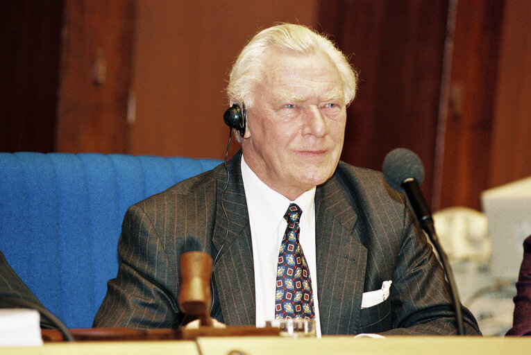 Plenary Session in Strasbourg