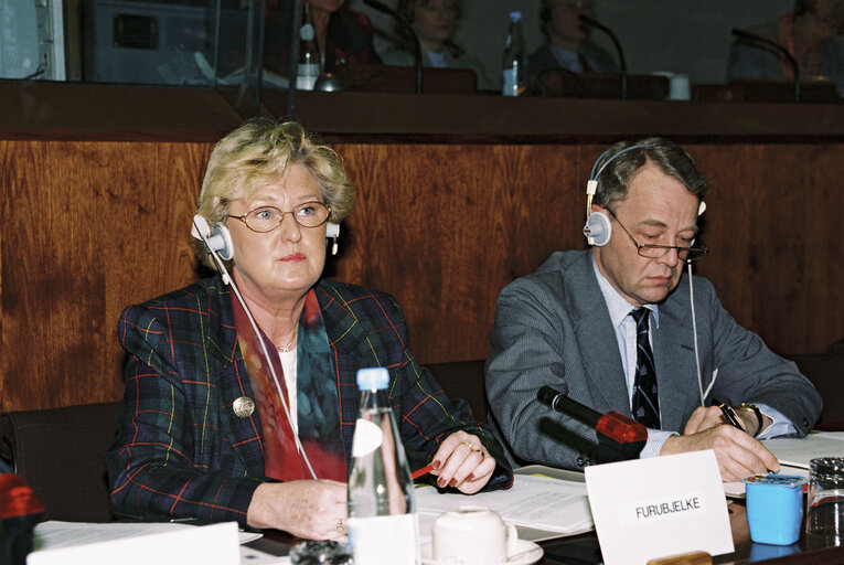 Foto 3: Meeting at the European Parliament in Brussels