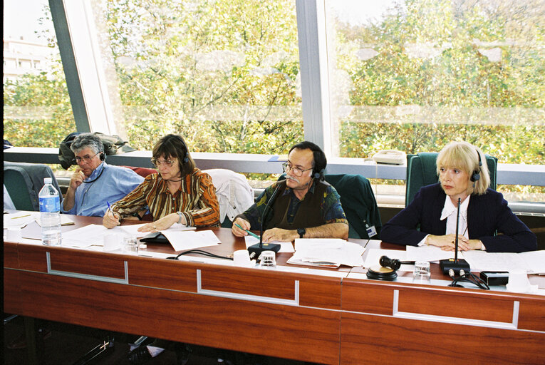 Photo 3 : Meeting at the European Parliament in Strasbourg