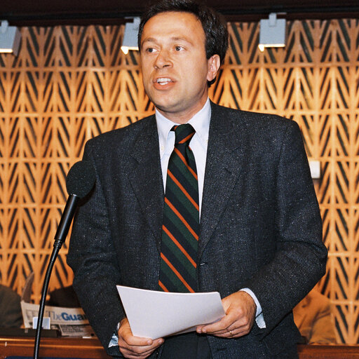 Foto 3: Portrait of Mep Alessando DANESIN at the European Parlimanr in Strasvourg