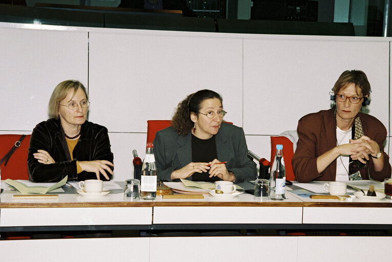 Meeting at the European Parliament