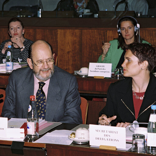 Committee on Foreign Affairs, Security and Defence Policy meeting