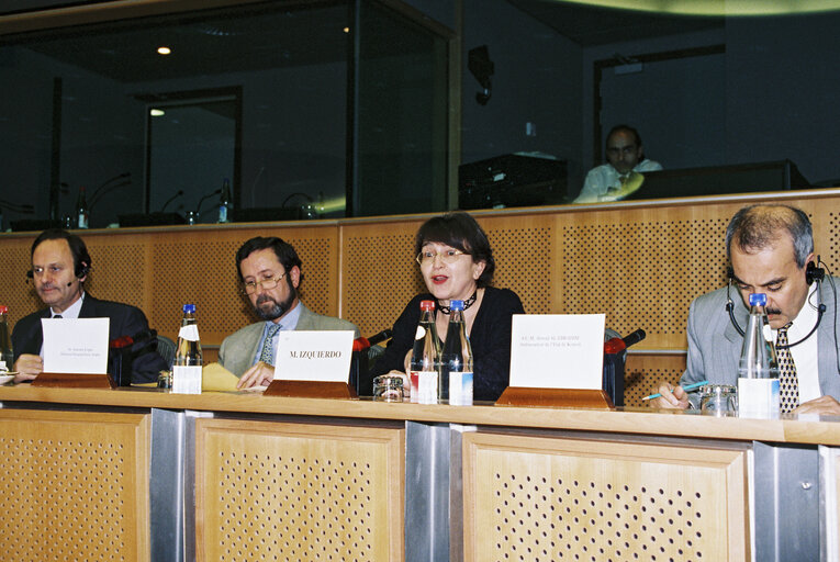 Foto 2: Meeting of the Delegation for relations with the Maghreb countries and the Arab Maghreb Union