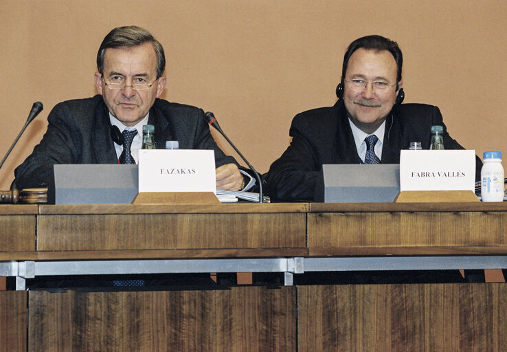 Foto 3: Court of Auditors Report 2003: Annual Report presented to the BUDG Committee