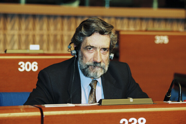 Foto 3: MEP Sergio RIBEIRO speaks in plenary session in Strasbourg