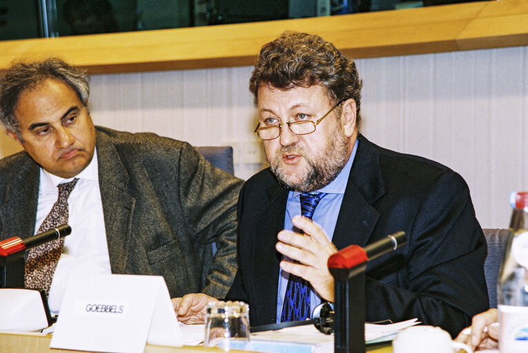 Fotografia 1: Meeting at the European Parliament in Brussels