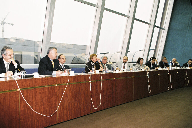 Meeting at the European Parliament in Brussels