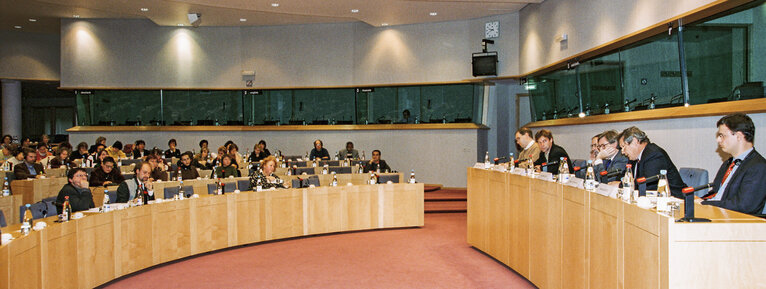 Billede 4: Meeting at the European Parliament