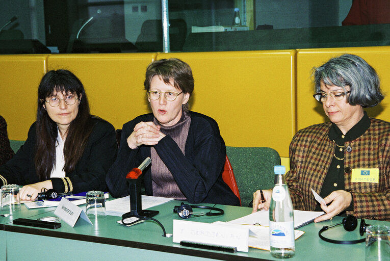 Committee on Women's Rights meeting at the European Parliament in Brussels