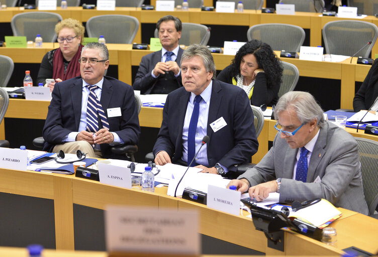 Fotografie 1: 24th meeting of the EU-Chile Joint Parliamentary committee - Opening session