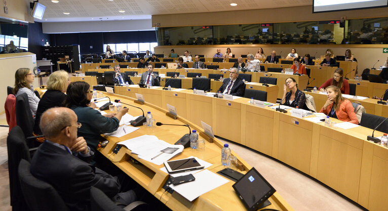 Photo 10 : STOA workshop ' Innovative financing for cross-border transport '