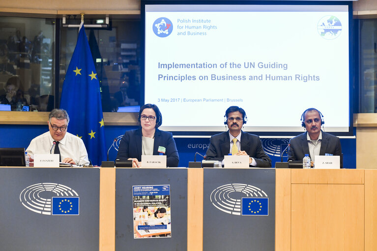 Fotografie 8: DROI/INTA joint hearing on Business and Human Rights in EU External Policies -  Implementation of the UN Guiding Principles on Business and Human Rights and access to remedies