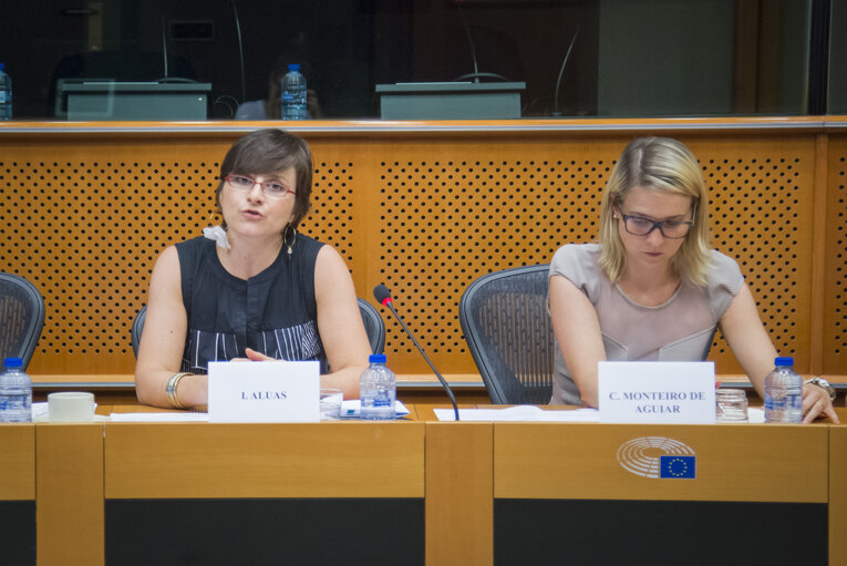 European sustainable tourism for all