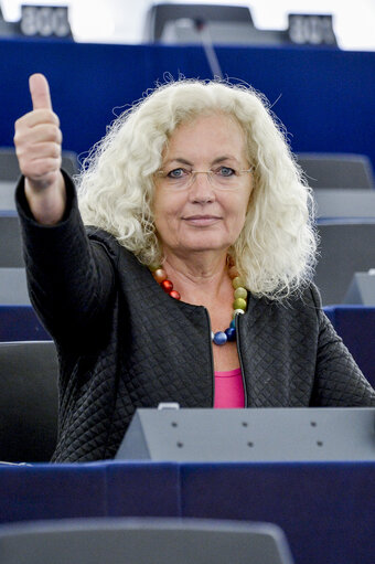 Photo 6 : Karin KADENBACH in the European Parliament in Strasbourg