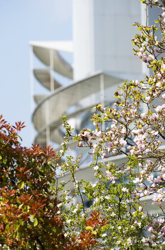 Flags in the European Parliament in Strasbourg