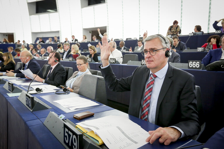 Photo 3: Marc JOULAUD in plenary session Week 20 2017 in Strasbourg