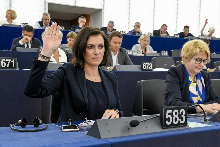 Fotogrāfija 4: Elisabeth KOSTINGER in plenary session Week 24  2017 in Strasbourg